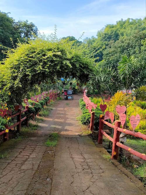Instagrammable flower farms in PH to give you a breath of fresh air • PhilSTAR Life